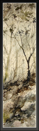 The Wonder of Wildness