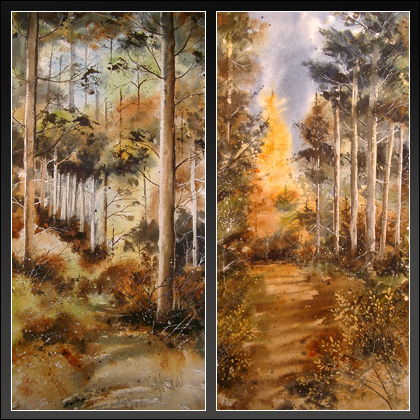 Cadam Woods, Kirriemuir