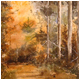 Cadam Woods, Kirriemuir