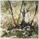 Woodland Path