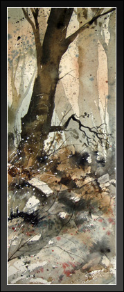Early Morning Light 1