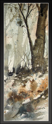Early Morning Light 2