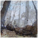 Woodland Triptych