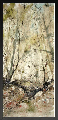 Gossamar Curtain