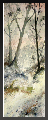 Tranquil Forest