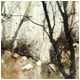 Natures Tapestry, Alyth Den