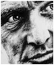 Paul Newman