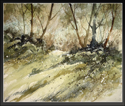 Woodland Path