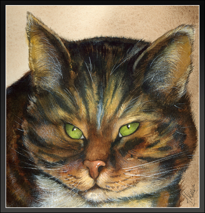 cat