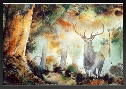 Stag in Woods